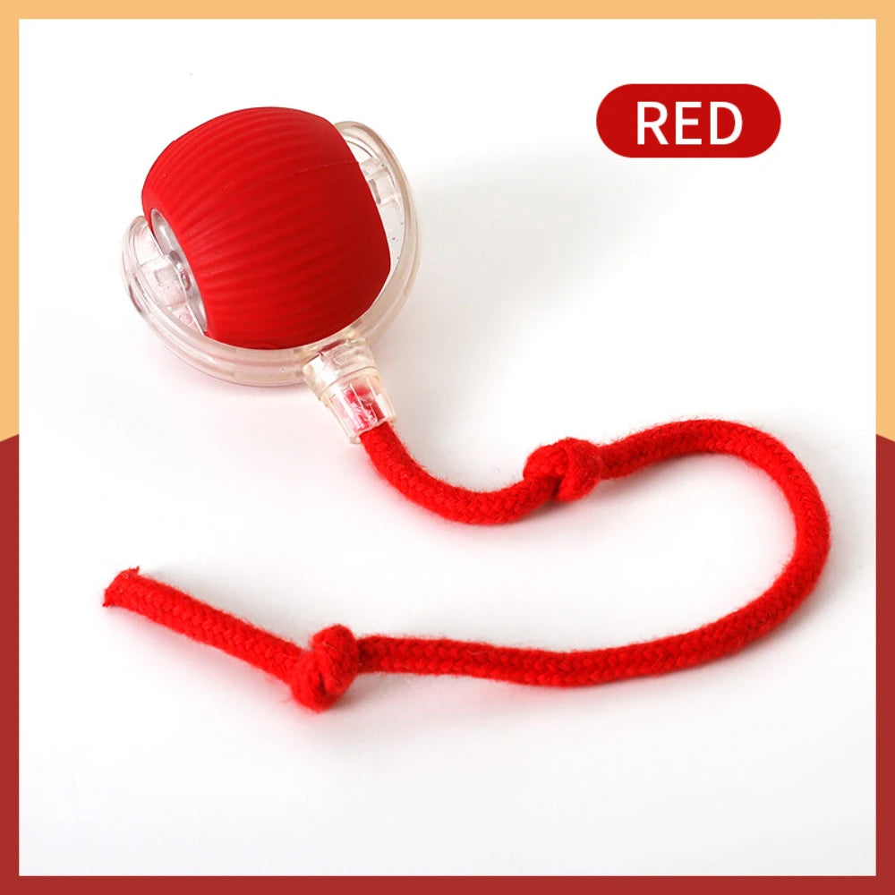 Automatic Rolling Ball Cat Toy – Interactive Smart Exercise Toy for Indoor Cats - FututeX