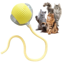 Automatic Rolling Ball Cat Toy – Interactive Smart Exercise Toy for Indoor Cats - FututeX